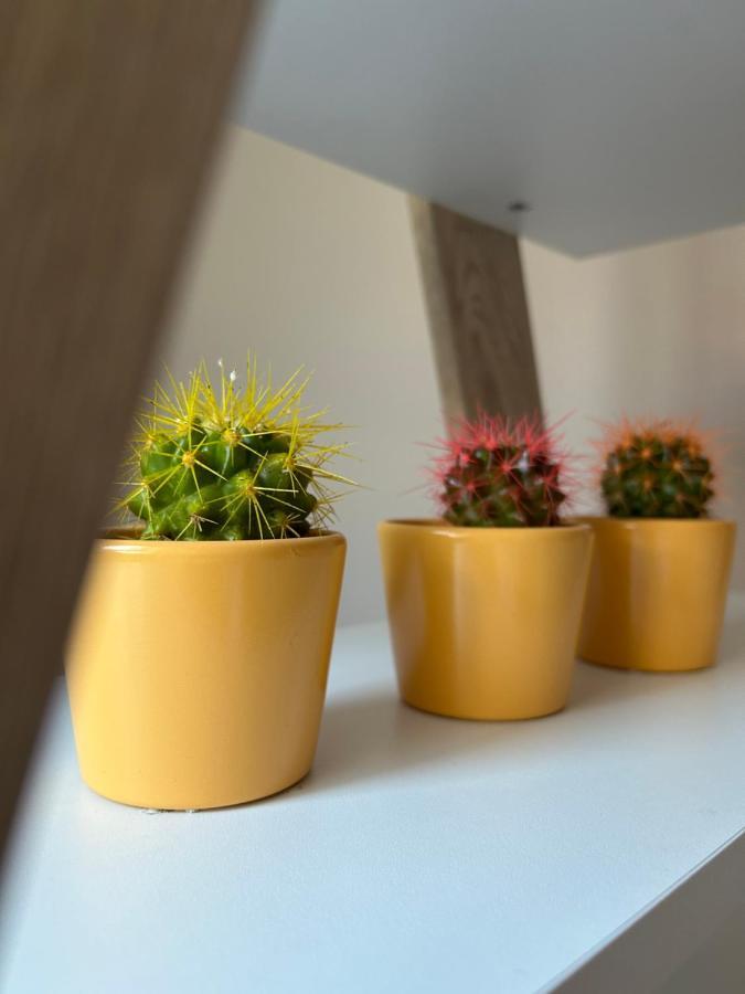 Apartman Teodora Суботиця Екстер'єр фото